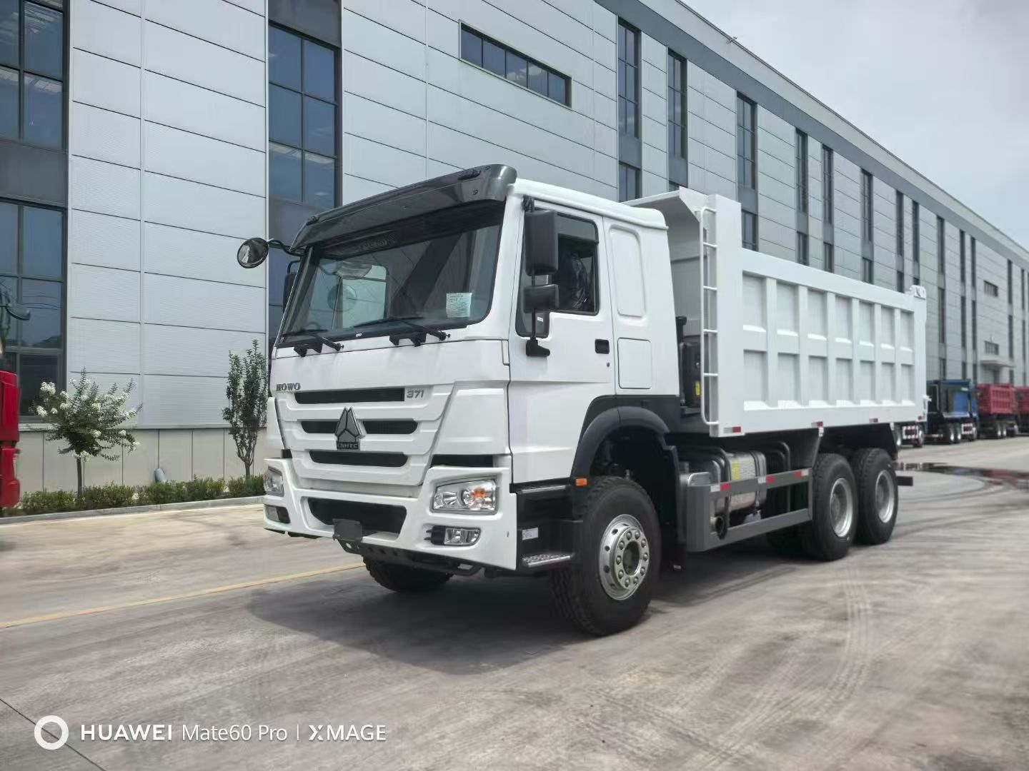 synotruk Howo ٹرک